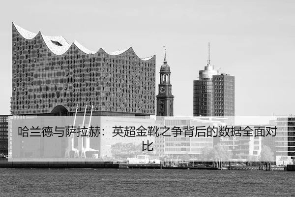 ha-lan-de-yu-sa-la-he-ying-chao-jin-xue-zhi-zheng-bei-hou-de-shu-ju-quan-mian-dui-bi-3-434.jpg