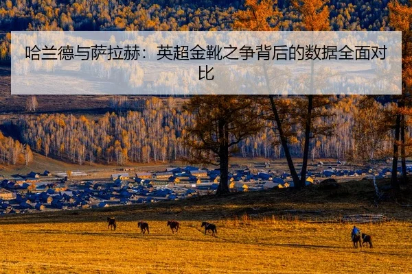 哈兰德与萨拉赫：英超金靴之争背后的数据全面对比