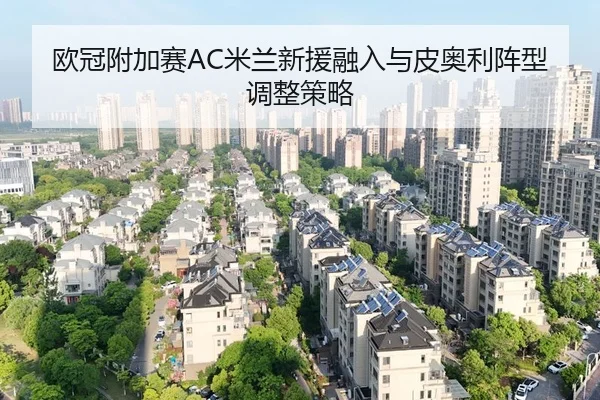 ou-guan-fu-jia-sai-mi-lan-xin-yuan-rong-ru-yu-pi-ao-li-zhen-xing-tiao-zheng-ce-lve-3-464.jpg