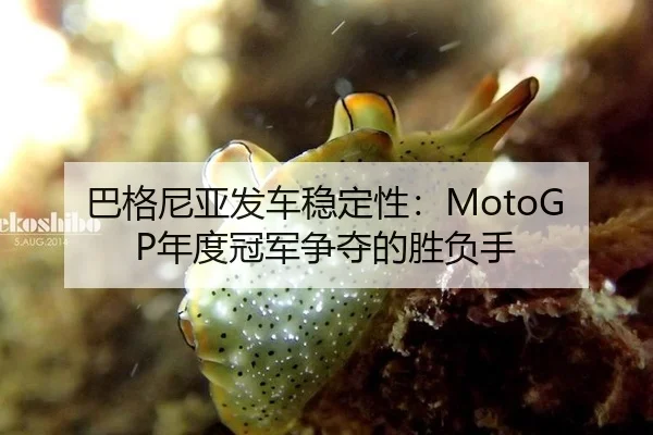 ba-ge-ni-ya-fa-che-wen-ding-xing-nian-du-guan-jun-zheng-duo-de-sheng-fu-shou-3-250.jpg