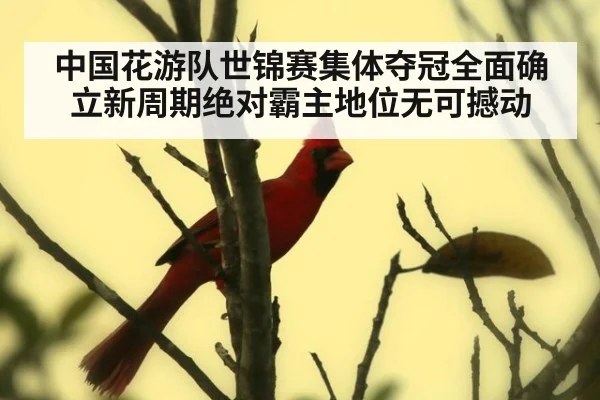 中国花游队世锦赛集体夺冠全面确立新周期绝对霸主地位无可撼动