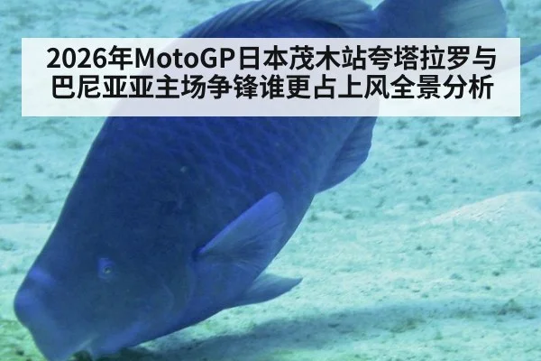2026年MotoGP日本茂木站夸塔拉罗与巴尼亚亚主场争锋谁更占上风全景分析