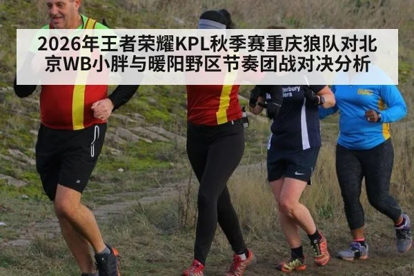 2026年王者荣耀KPL秋季赛重庆狼队对北京WB小胖与暖阳野区节奏团战对决分析